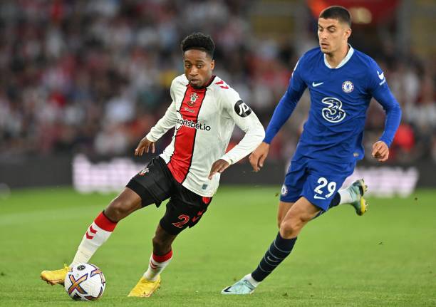 无论佩莱格 无论佩莱格